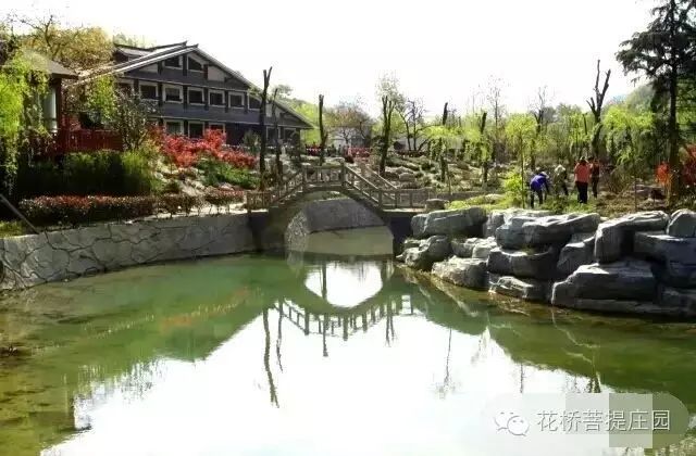 這個(gè)周末，隴南康縣花橋有大事要發(fā)生？