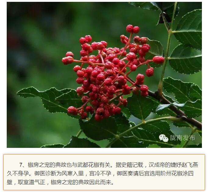 蘭渝鐵路最早由孫中山先生提出？在隴南，你不知道的事兒還有……