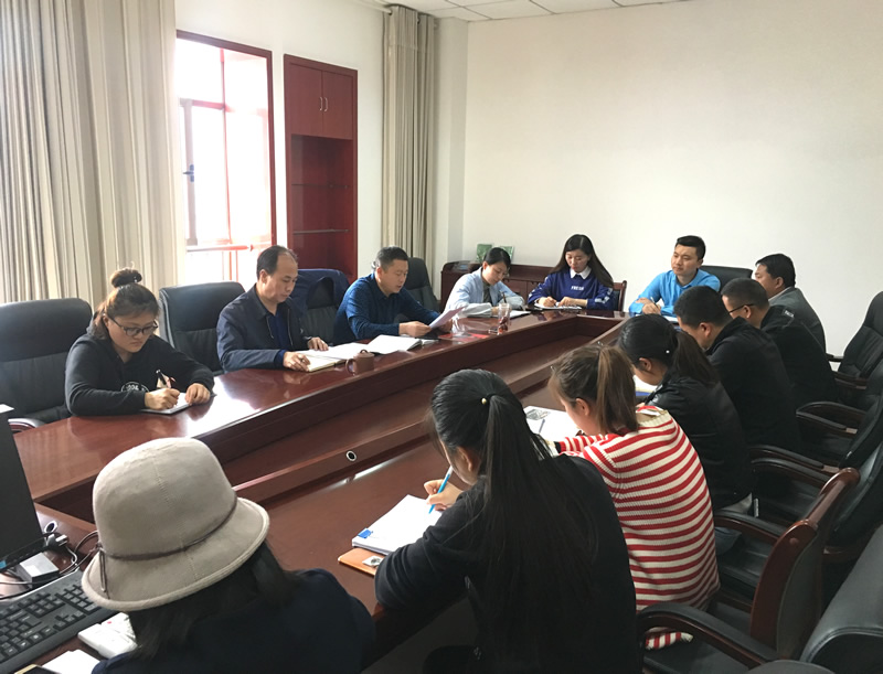 市龍江城鄉(xiāng)發(fā)展集團專題學習近期中央、省、市紀律檢查委員會議精神